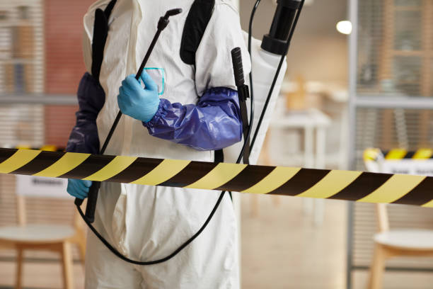 Professional Sewage Cleanup technician working in Knightstown, IN